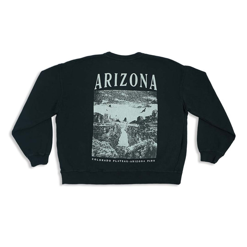 Concrete Arizona Crop Sweatshirt
